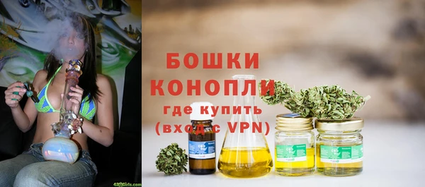 соль ск Ладушкин